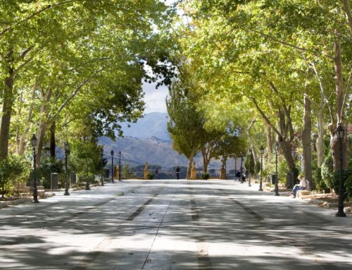 Alameda del Tajo de Ronda: historia, miradores y paseo