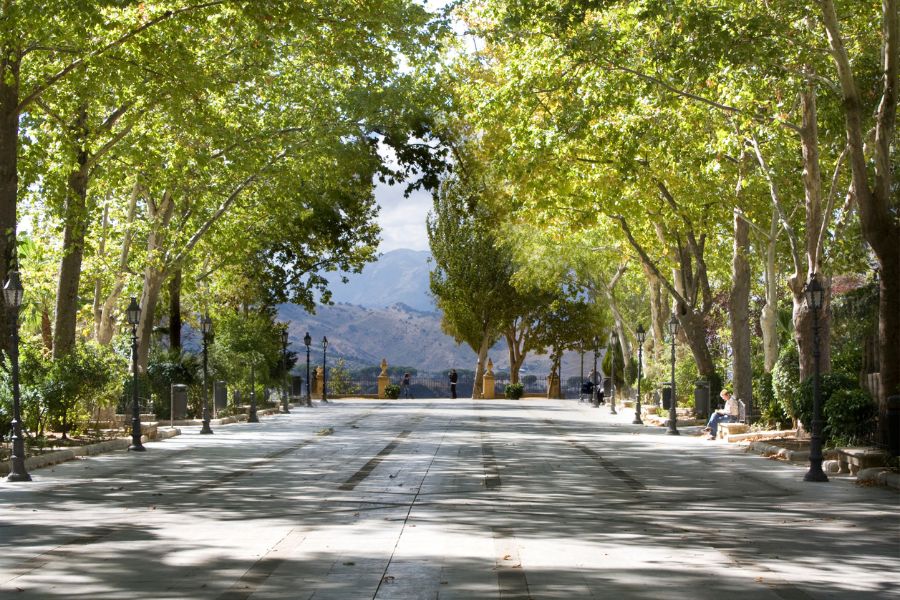 Alameda del Tajo de Ronda: historia, miradores y paseo