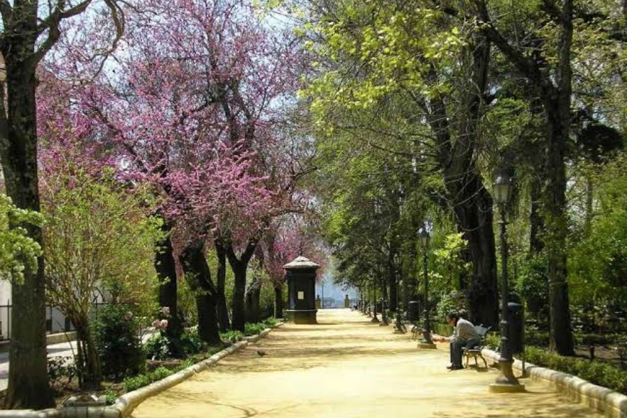 Miradores y paseo arbolado de la Alameda del Tajo sobre la Hoya del Tajo